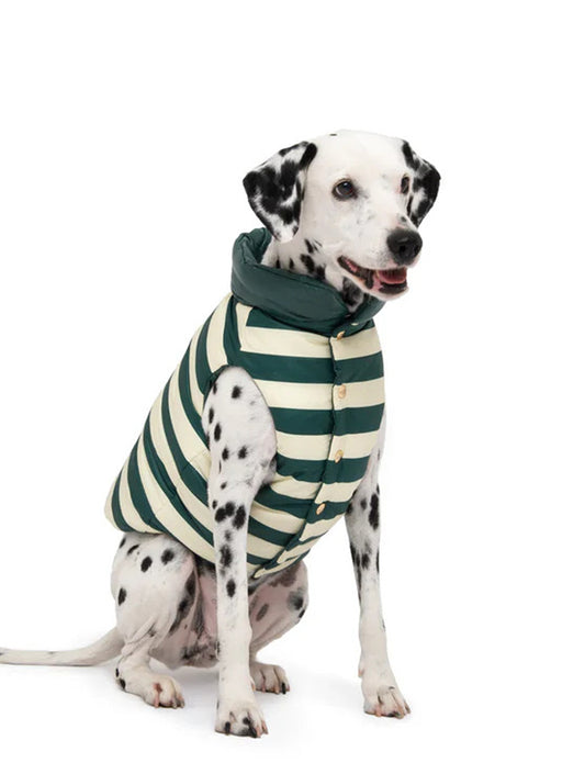 Boom Gilet - Green and White (hover)