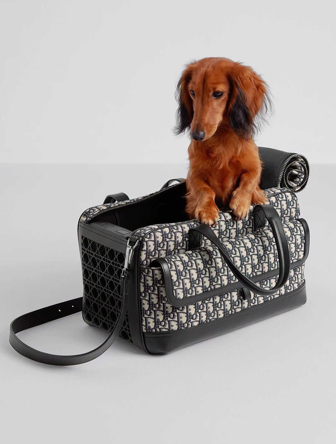 Dior Hit the Road Pet Carrier Bag