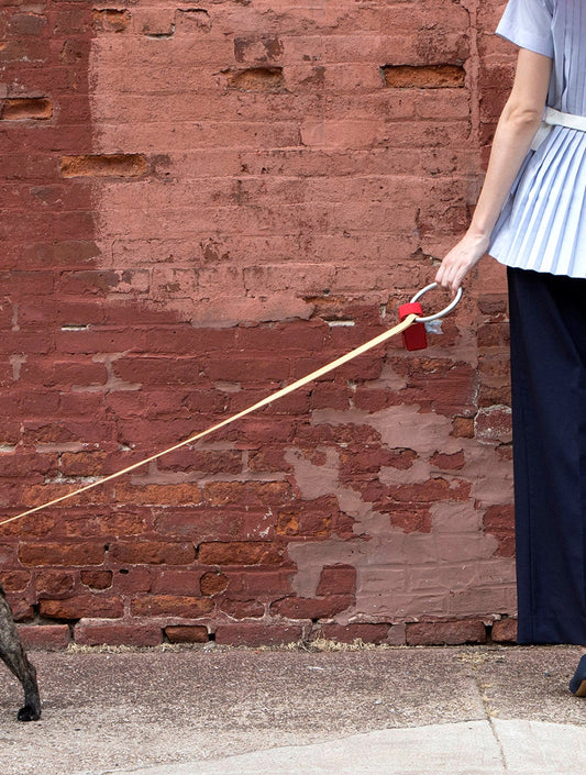 Lumi Leash and Collar Set - Tan (hover)