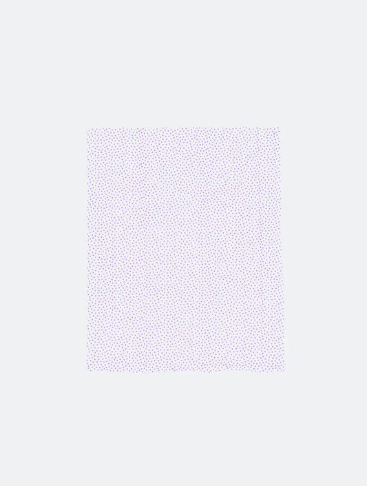 Dog Sneaker Wipes- 30 Pack