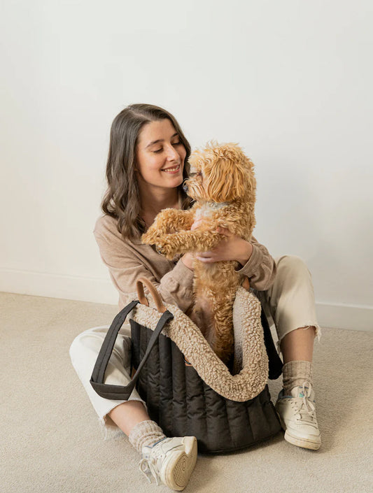 Carrying Pony Bag - Brown (hover)