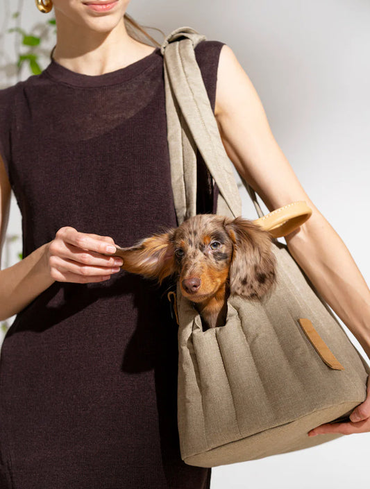 Carrying Pony Bag - Beige (hover)