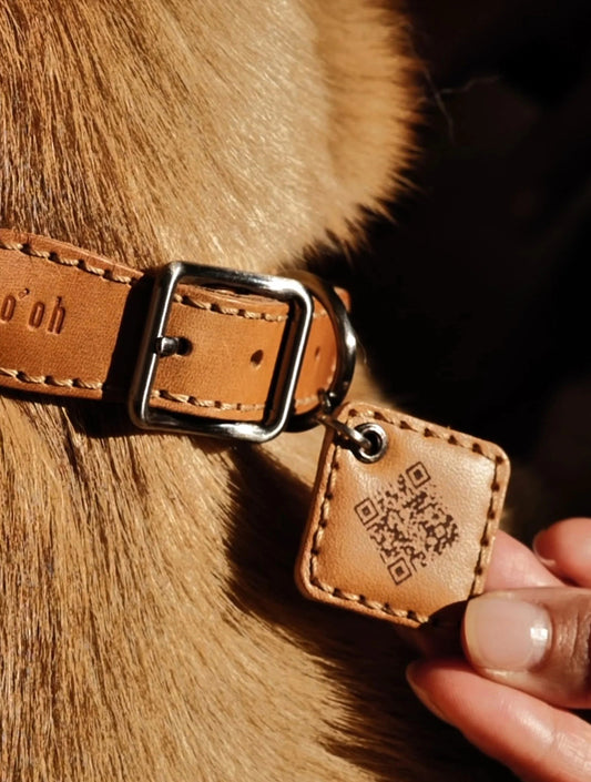 Ray Collar + Leash Set - Camel Brown (hover)