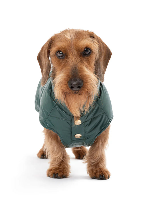 Underground Raincoat - Dark Green (hover)