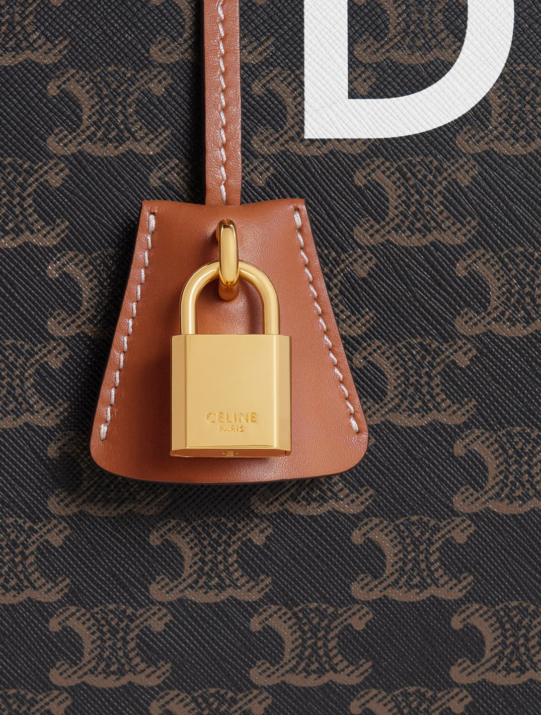 Travel 50 In Triomphe Canvas With Dog Print