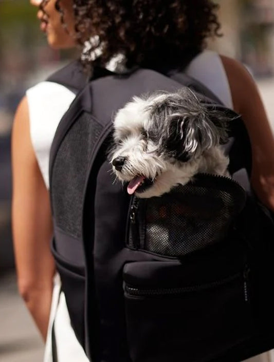 Go Everywhere Backpack - Black (hover)