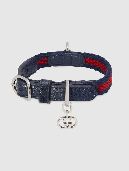 Extra-Small Pet Collar - Blue and Red