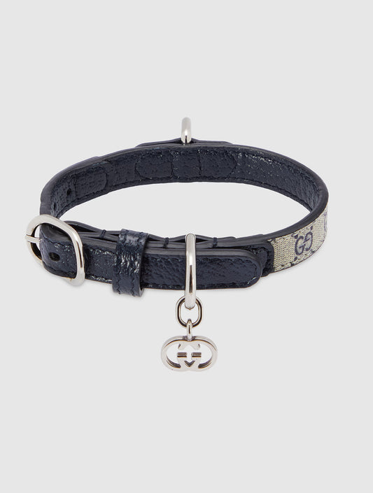 Extra-Small Pet Collar - Beige and Blue