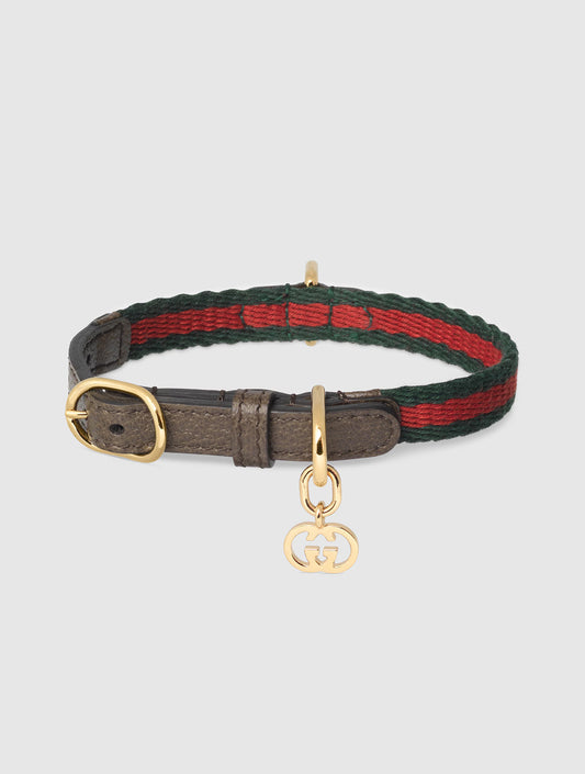 Extra-Small Pet Collar - Green and Red