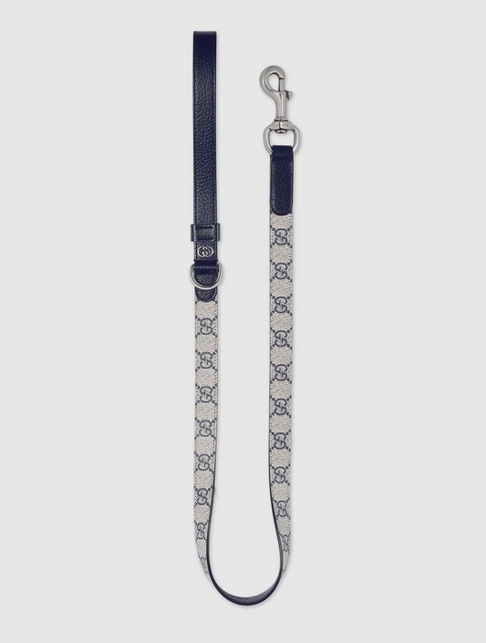 Small/Medium Pet Leash - Beige and Blue