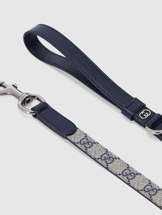 Small/Medium Pet Leash - Beige and Blue (hover)