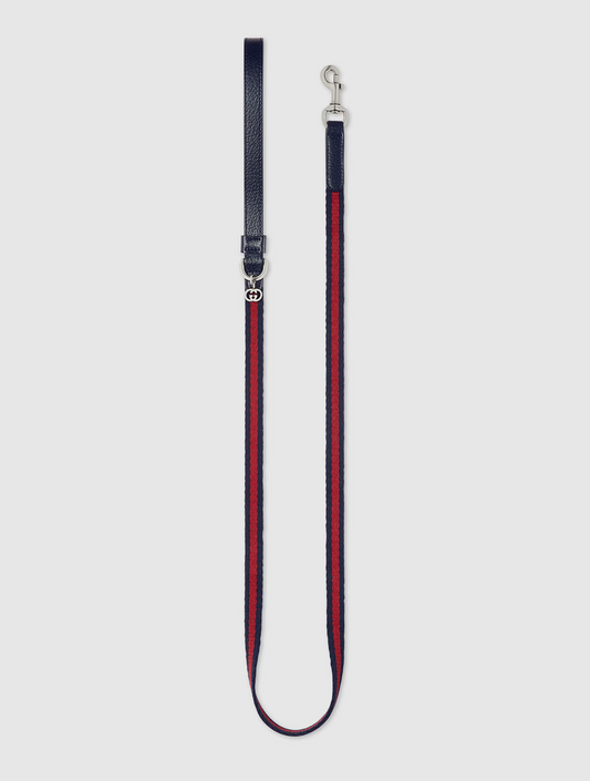 Extra-Small Pet Leash - Blue and Red