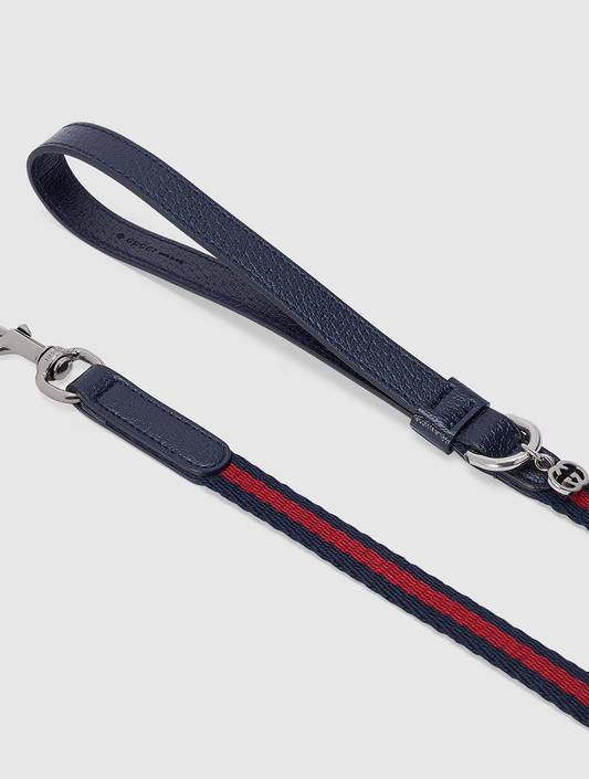 Extra-Small Pet Leash - Blue and Red (hover)
