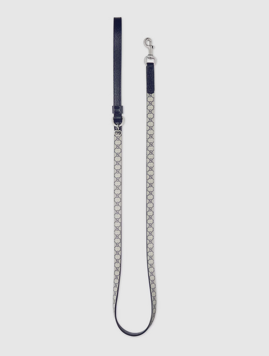 Extra-Small Pet Leash - Beige and Blue