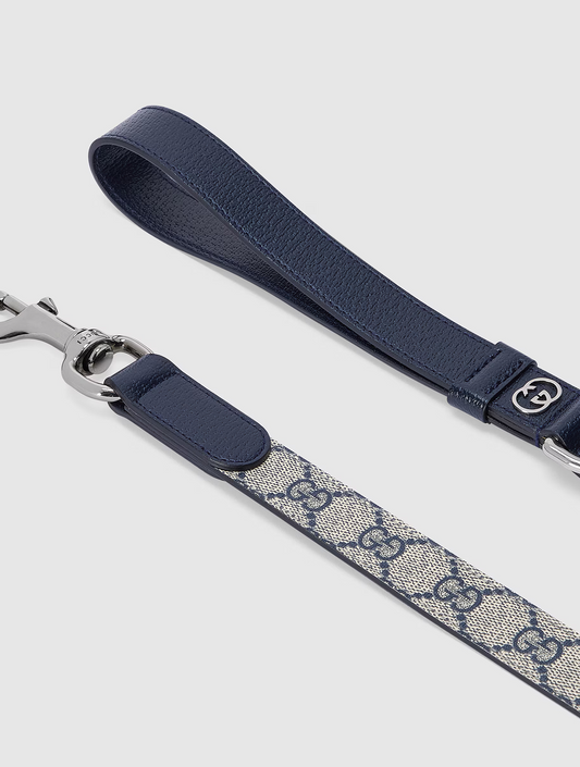 Extra-Small Pet Leash - Beige and Blue (hover)