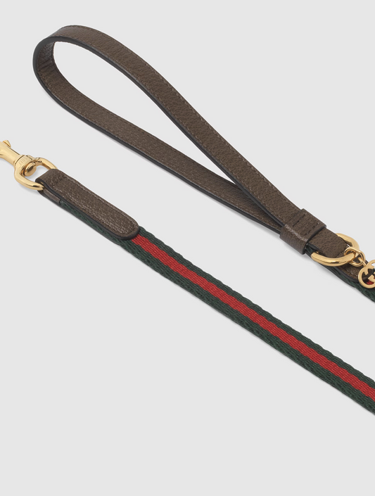Extra-Small Pet Leash - Green and Red (hover)