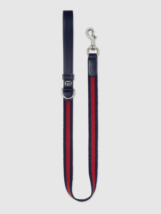 Large Pet Leash - Blue and Red