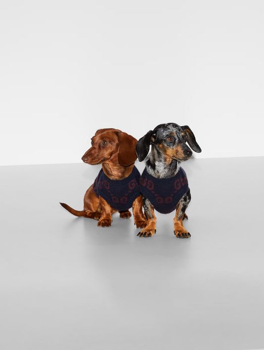 Wool Jacquard Pet Sweater - Burgundy (hover)