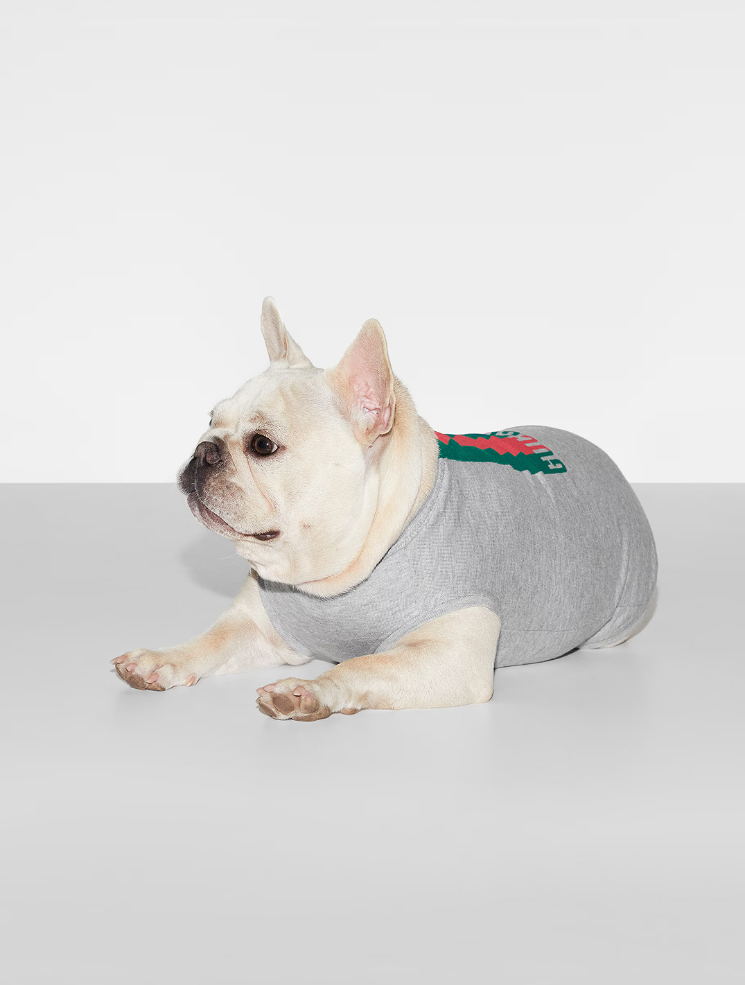 Printed Cotton Pet T-Shirt
