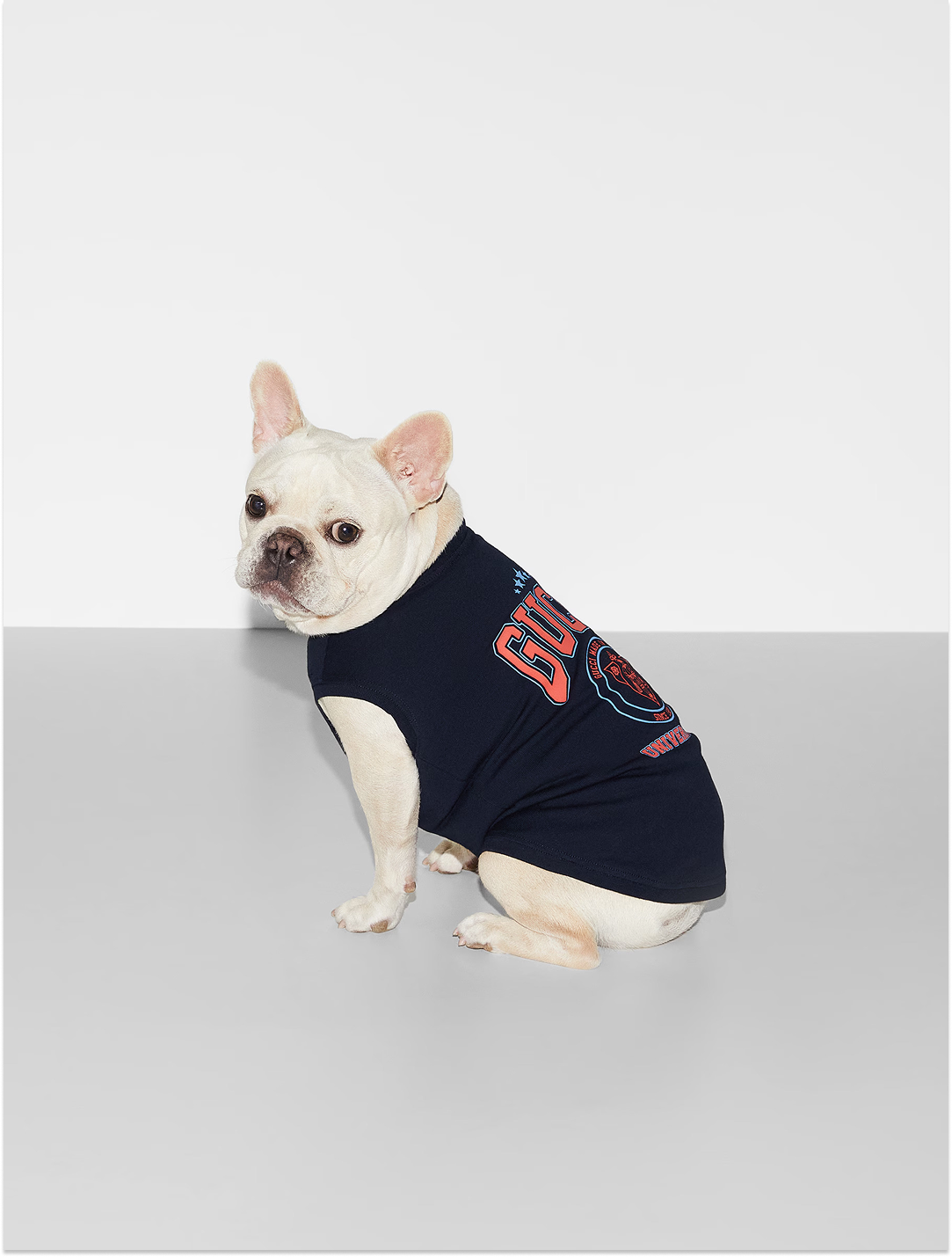 Printed Cotton Pet T-Shirt