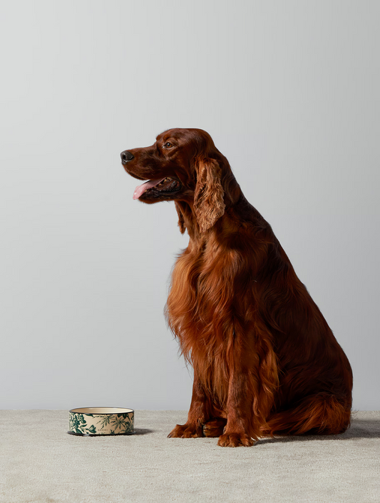 Large Herbarium Print Pet Bowl - Ivory and Green (hover)