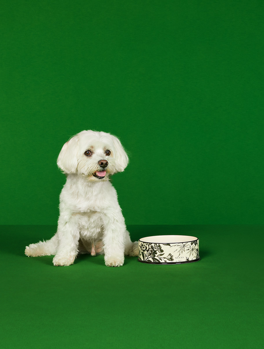 Large Herbarium Print Pet Bowl - Black and Beige (hover)