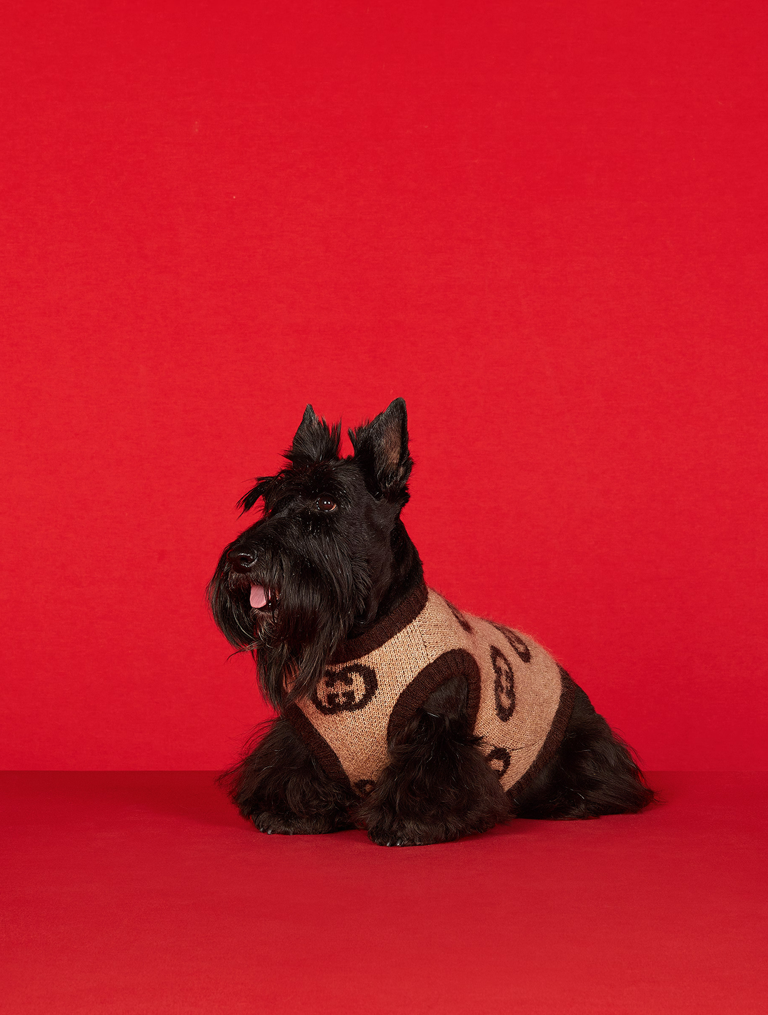 Pet Wool Blend Sweater with Interlocking G