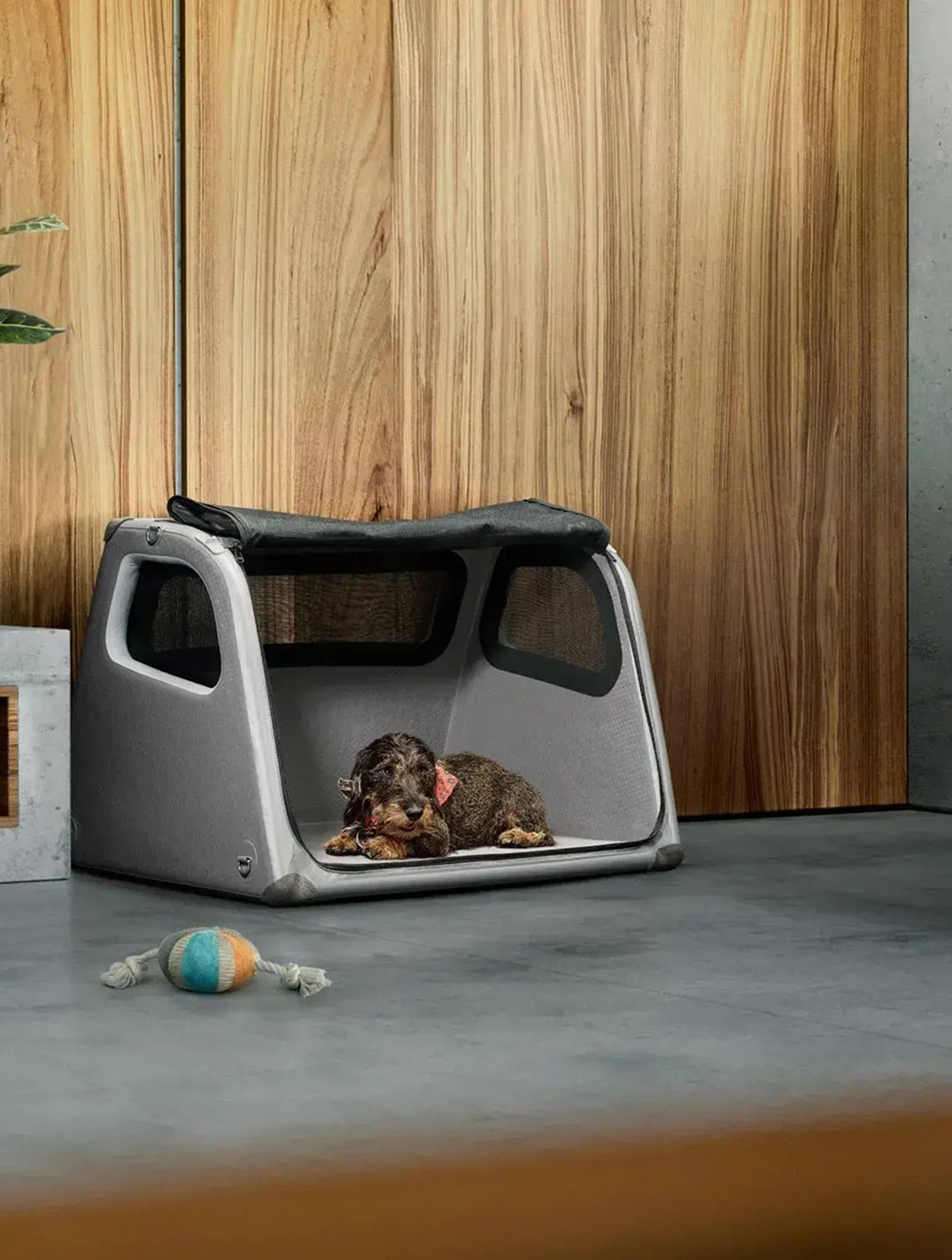 Porsche Luggage Compartment Box for Dogs