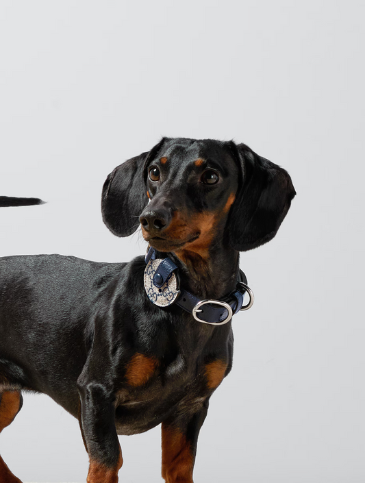 GG Holder for Airbag - Beige and Blue (hover)