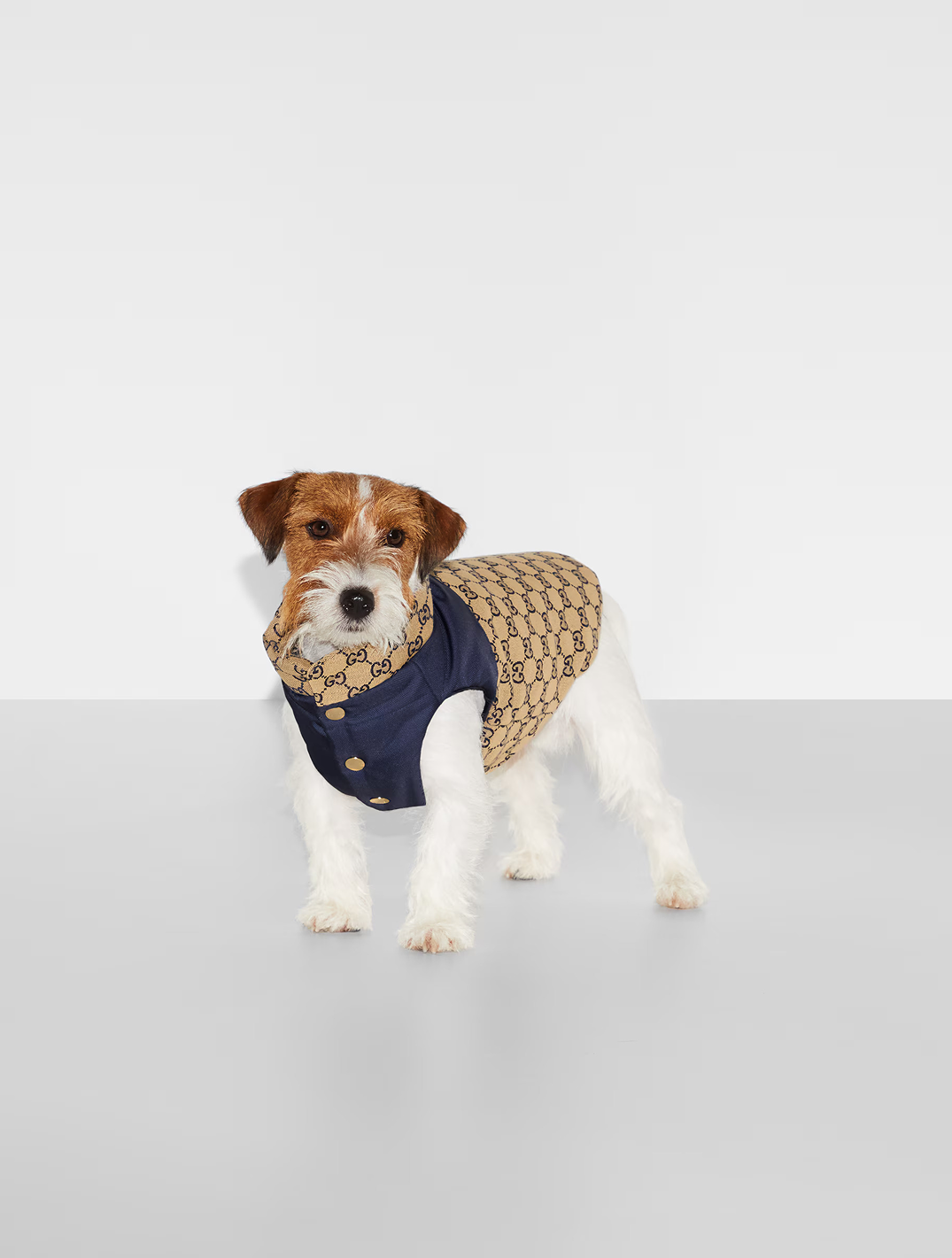 Recersible GG Pet Coat