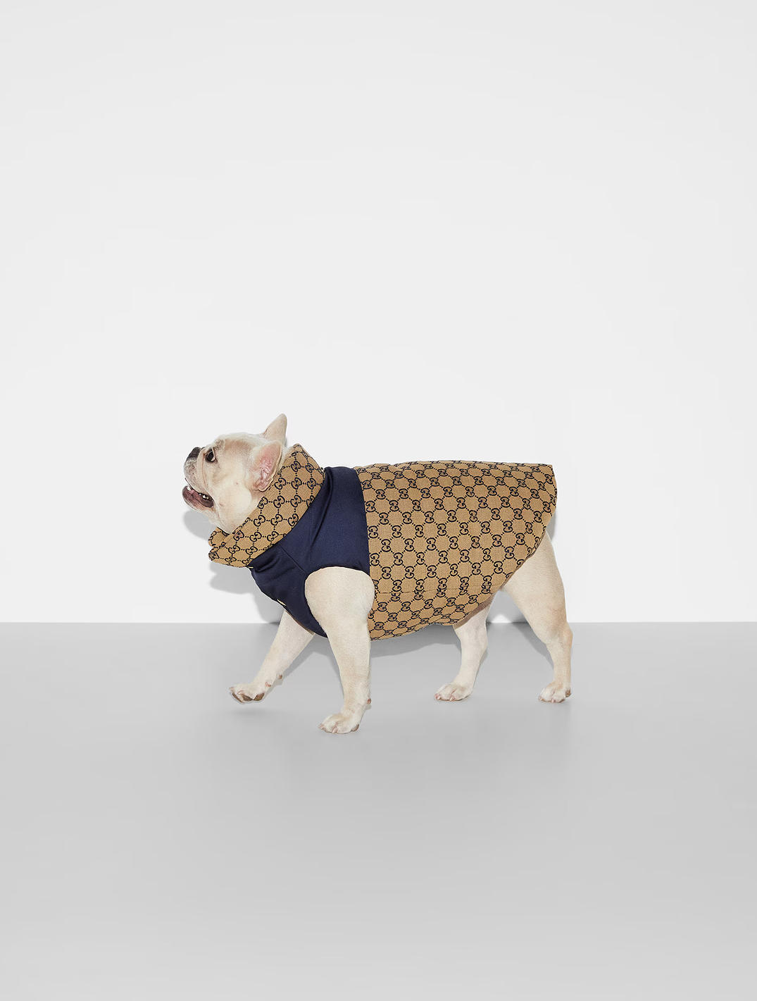Recersible GG Pet Coat