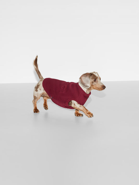 Embossed Cotton Pet Sweatshirt - Burgundy (hover)
