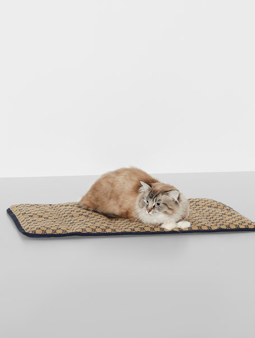 Portable Pet Bed