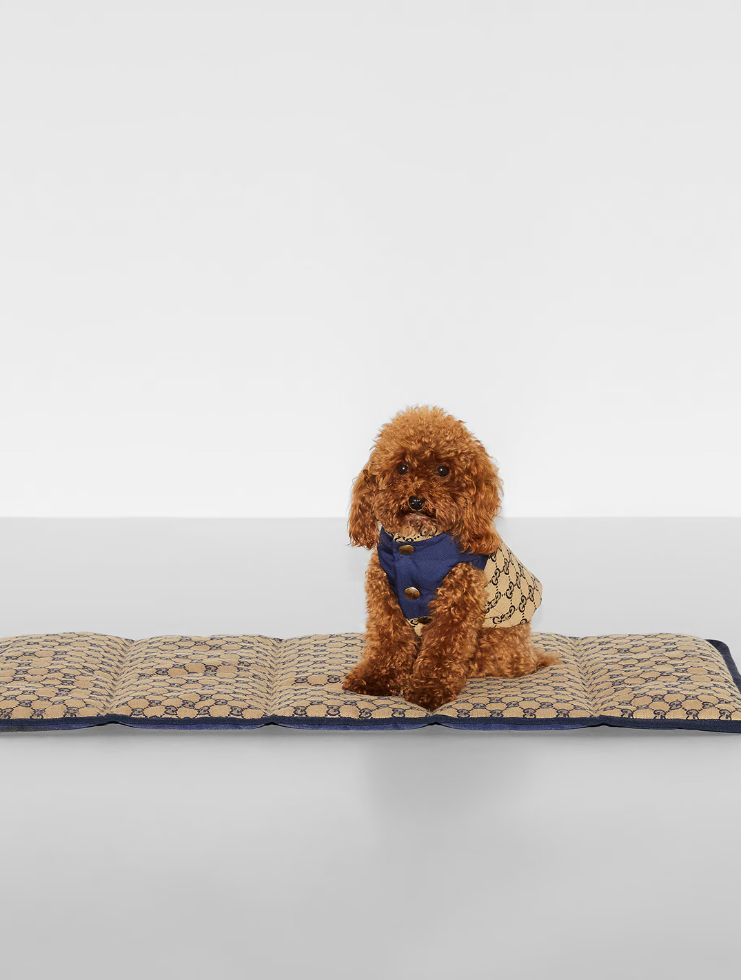 Portable Pet Bed