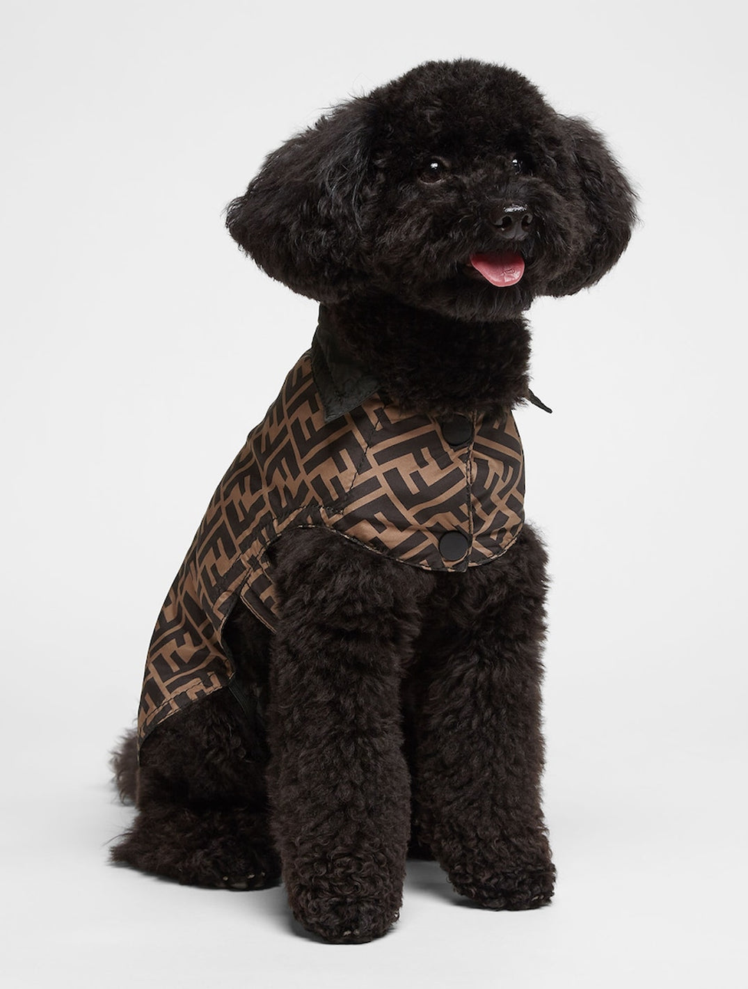 Dog Coat