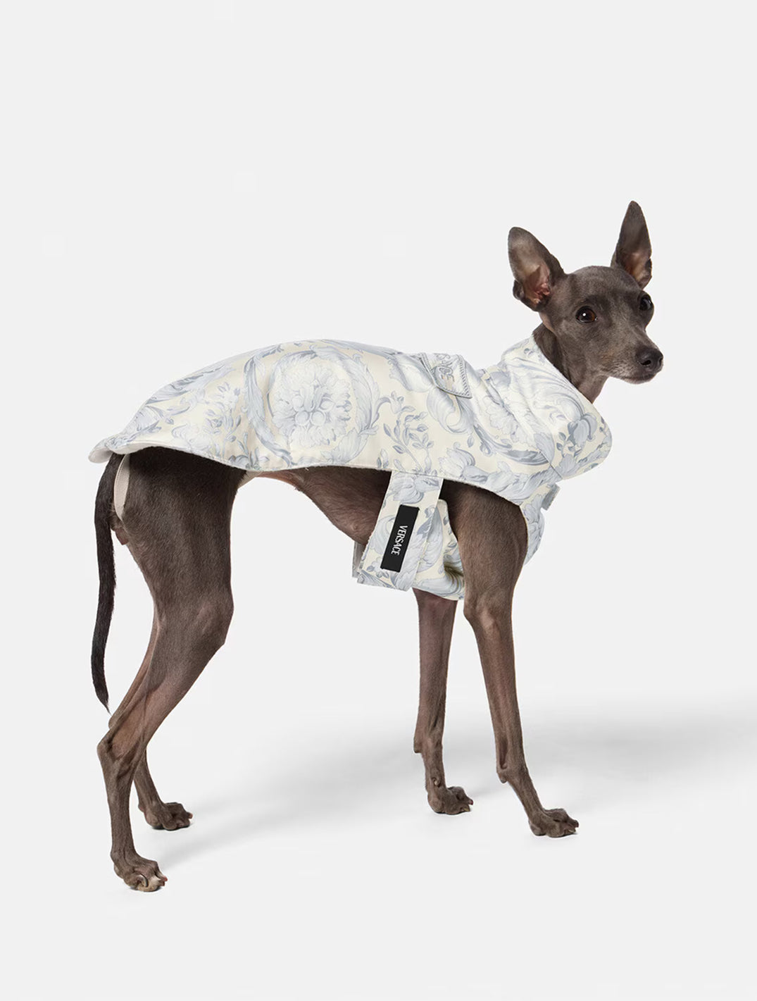 Barocco Dog Raincoat