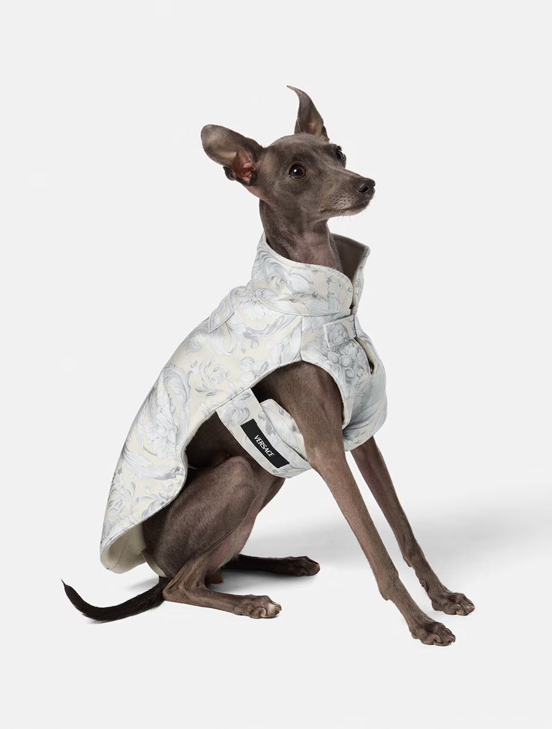 Barocco Dog Raincoat