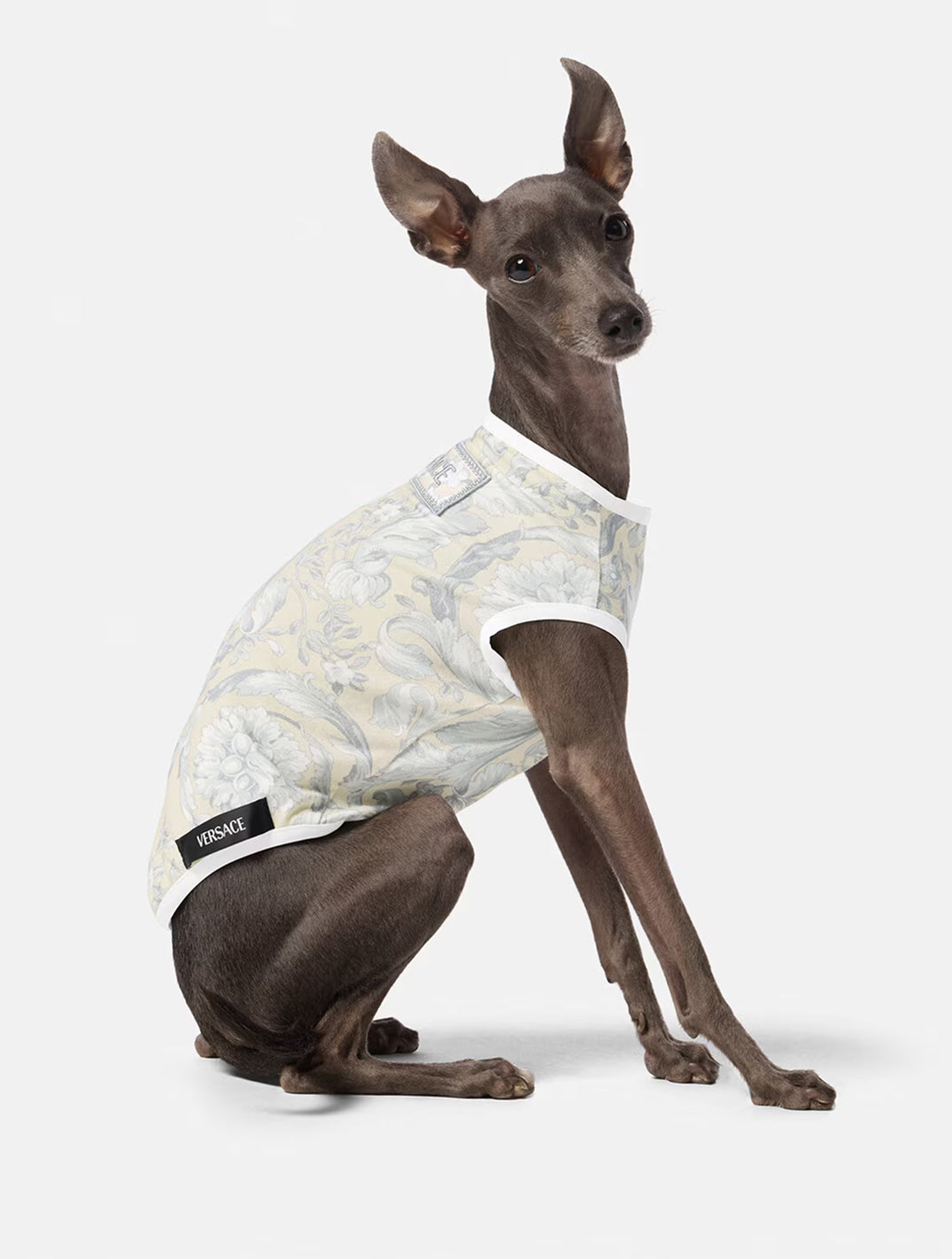 Barocco Dog T-Shirt