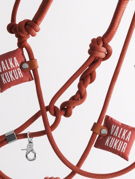 Bold Set - Cinnamon (hover)