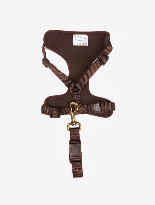 Travel And Exercise Harness