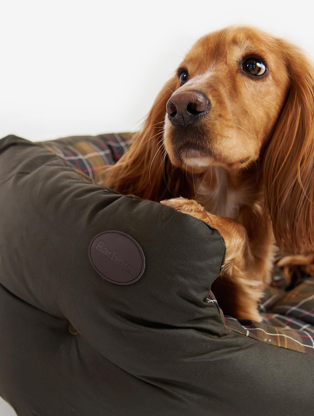 Wax / Cotton Dog Bed
