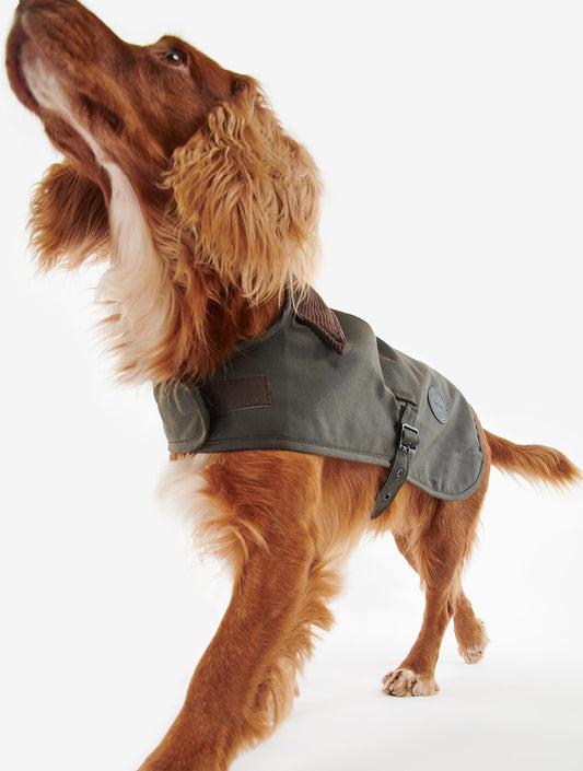 Wax Dog Coat - Olive (hover)