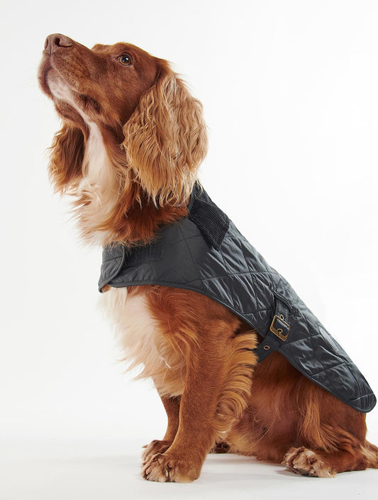 Quilted Dog Coat - Black (hover)