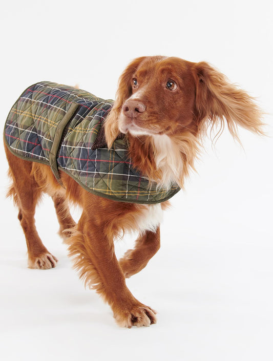 Tartan Dog Coat - Classic Tartan (hover)