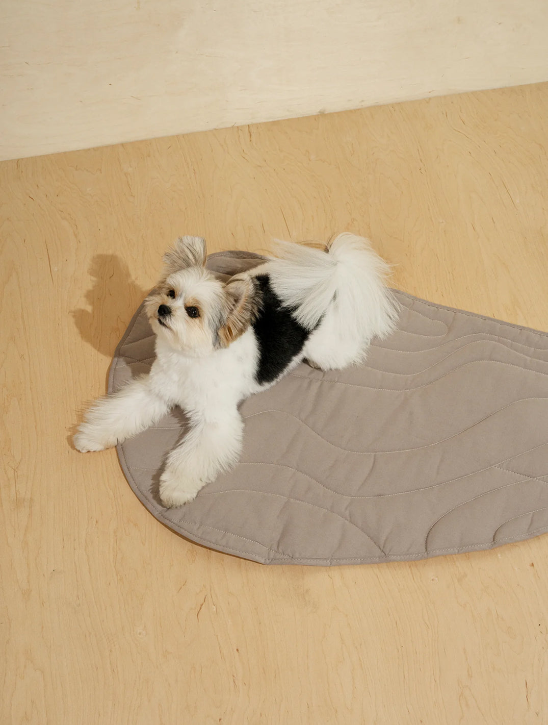 Dog Blanket Pony- Rollony