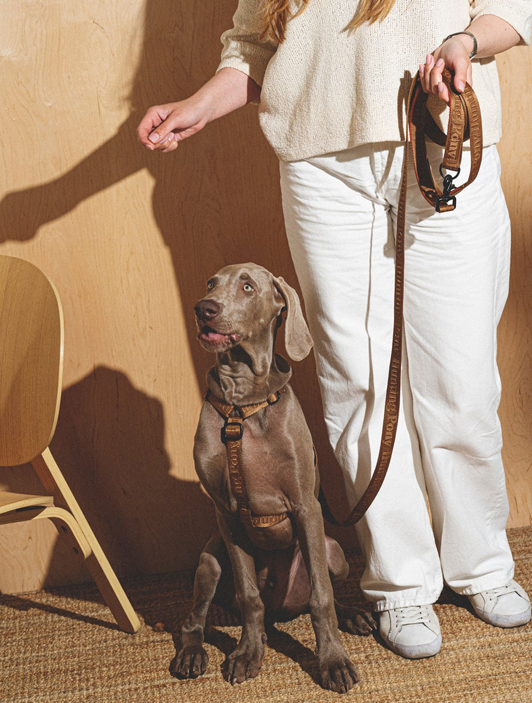 Walk Kit: Companiony Leash + Harness
