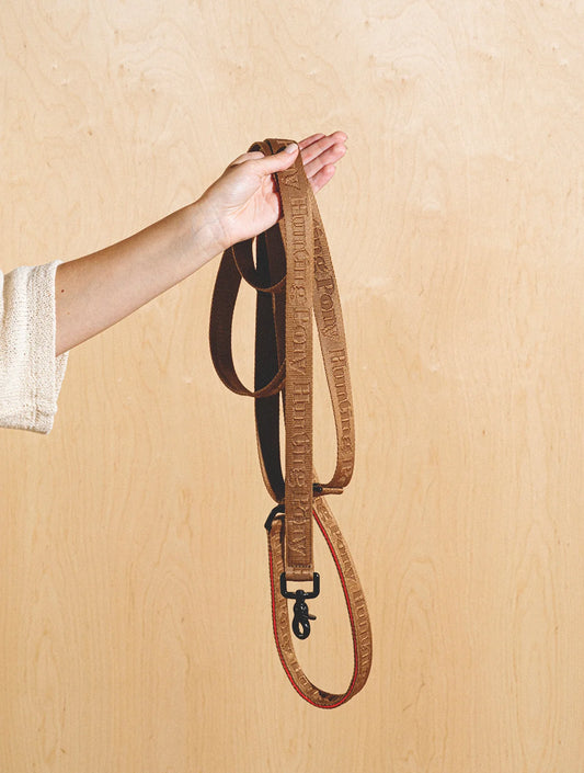 Walk Kit: Companiony Leash + Harness
