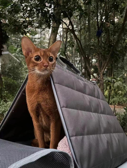 Tent Pet Carrier - Space Grey (hover)