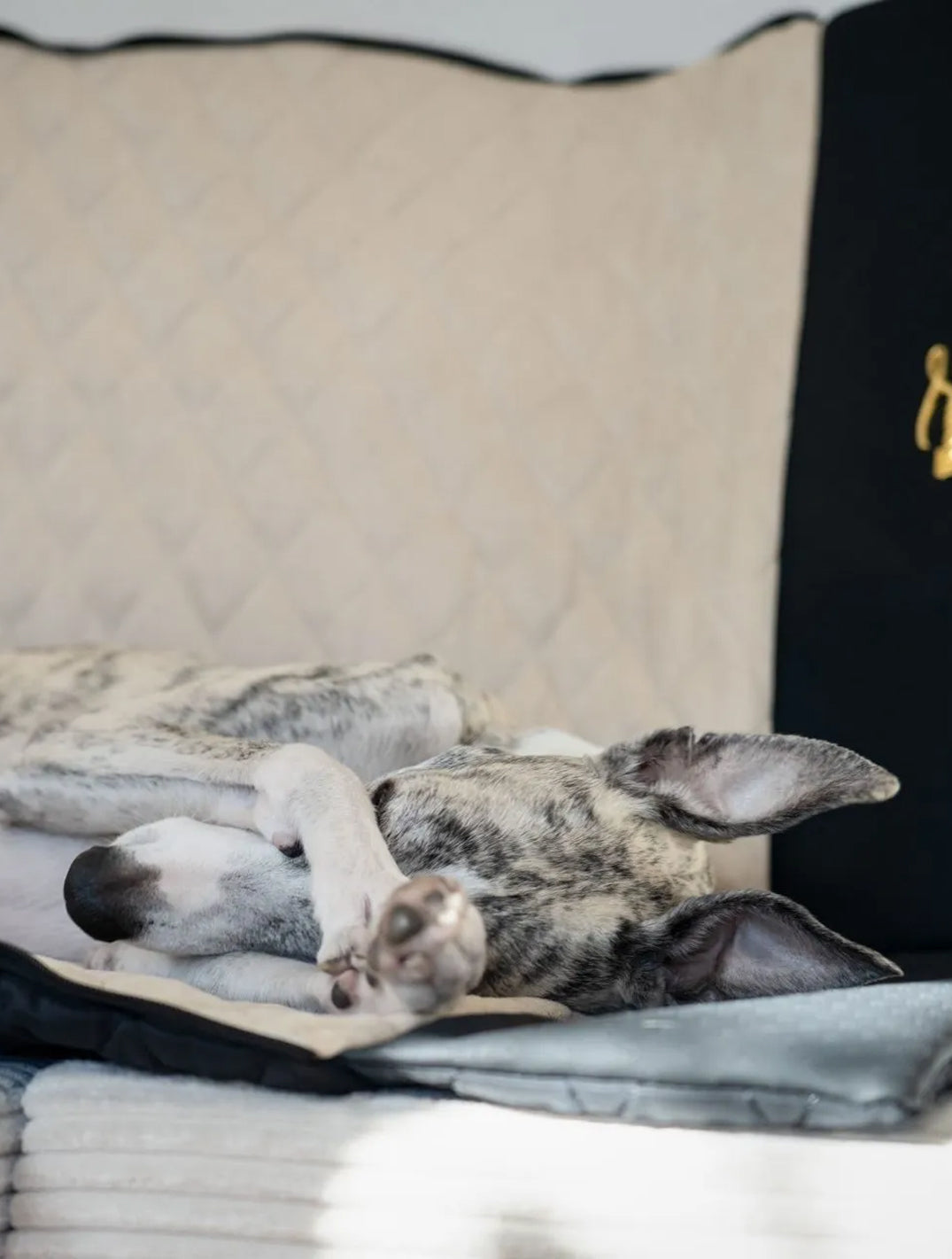 Luxury Dog Sleeping Mat/ Charcoal Beige