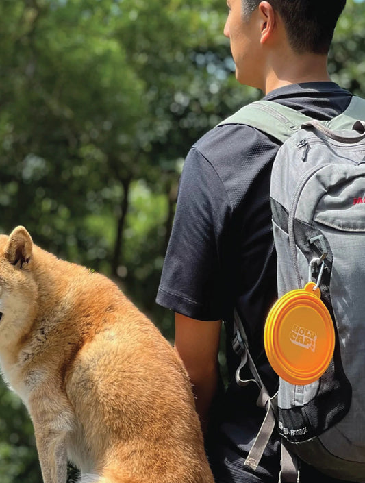 Water Bowl - Red (hover)